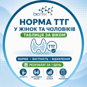Норма ТТГ у жінок та чоловіків за віком