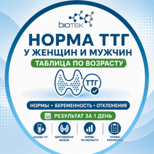 Норма ТТГ у женщин и мужчин по возрасту